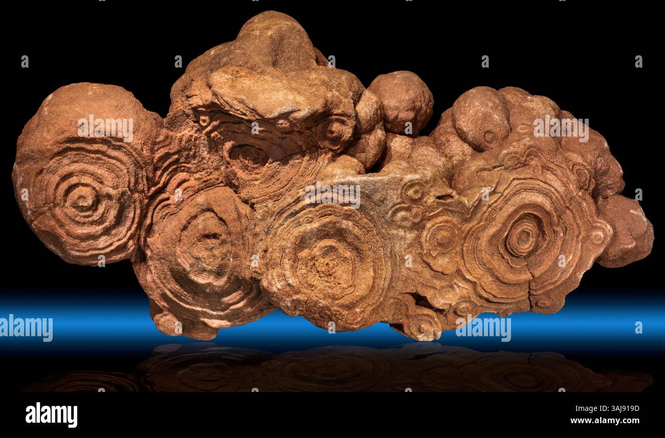 Stromatoliti, montagne dell'Atlante, Marocco Foto Stock