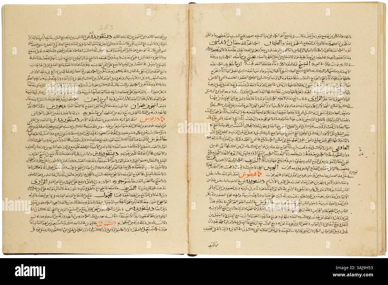 Manoscritto di "The Compendium on Simple Drugs and Foods" di Ibn al-Baytar, circa 1300 d.C. Scritto in arabo con titoli di capitolo rossi, il manoscritto include una conoscenza dettagliata dei medicinali e della dieta. Foto Stock