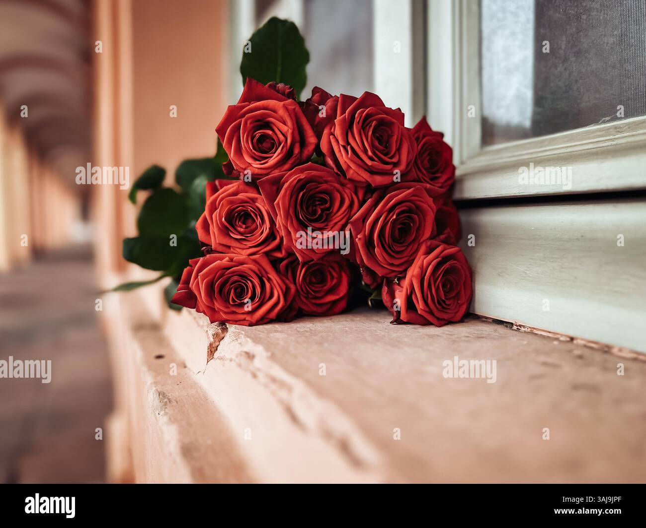 Il bouquet di rose rosse si trova su un lembo accanto a una finestra. Le rose sono disposte in modo che siano tutte rivolte nella stessa direzione, creando un senso o Foto Stock