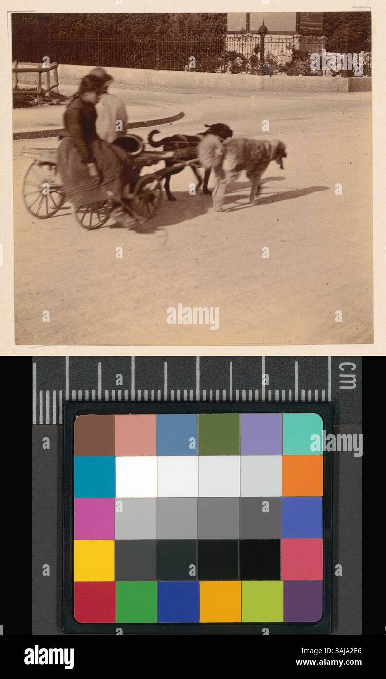 Questa fotografia del 1891 mostra una giovane donna e un uomo seduti su un carro trainato da cani di legno, con due cani che li tirano per le strade di Zurigo. Foto Stock