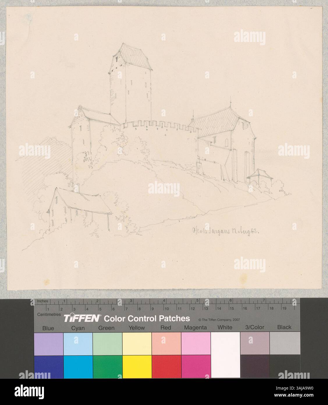 L'immagine mostra una vista esterna del Castello di Sargans, catturato nel 1862. Fornisce una chiara rappresentazione delle caratteristiche architettoniche del castello, tra cui le sue mura, torri e il paesaggio circostante, come si trovava nel XIX secolo. Foto Stock