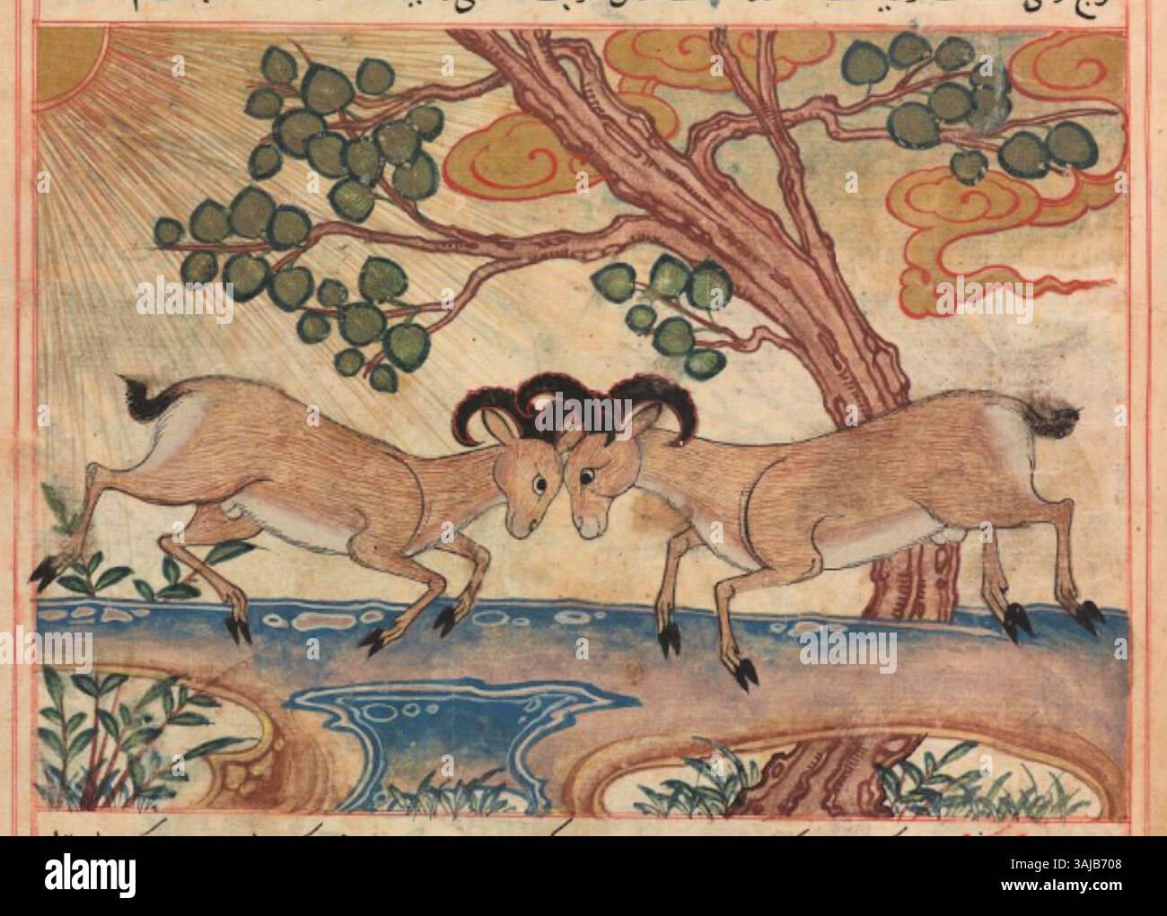 La raffigurazione di due arieti di montagna da un manoscritto persiano del XIII secolo evidenzia la capacità dell'artista di catturare la forma forte e muscolare di questi animali, tipica delle regioni montuose dell'Iran. Foto Stock