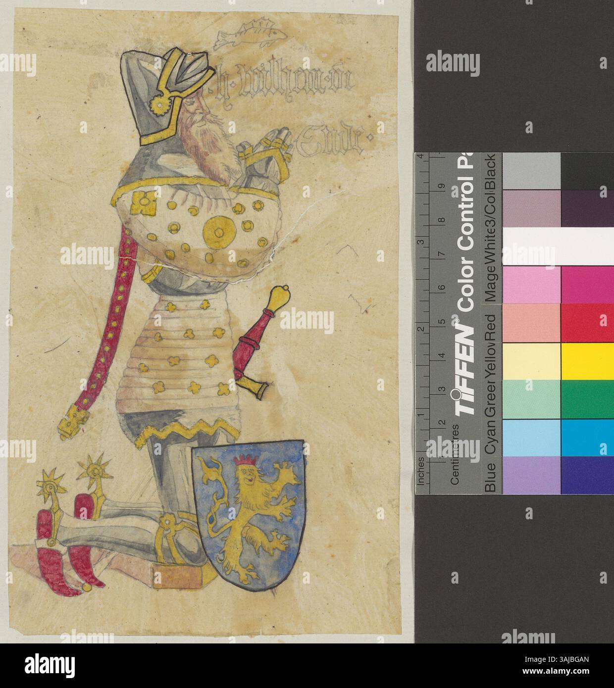 Questa immagine mostra un dettaglio di una targa commemorativa nella chiesa dell'abbazia di Königsfelden, con un cavaliere di nome Wilhelm von Ende con il suo stemma. La foto fu scattata da Johann Rudolf Rahn tra il 1859 e il 1880. Foto Stock