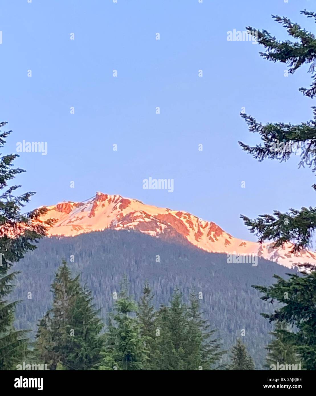 Vetta innevata al tramonto con Forest Foreground - Immagine stock catturata con smartphone