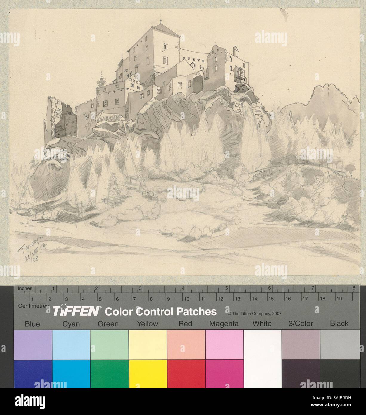 Questa immagine offre una vista esterna del castello di Tarasp a Tarasp, che mostra lo stile architettonico medievale e il paesaggio circostante. Foto Stock