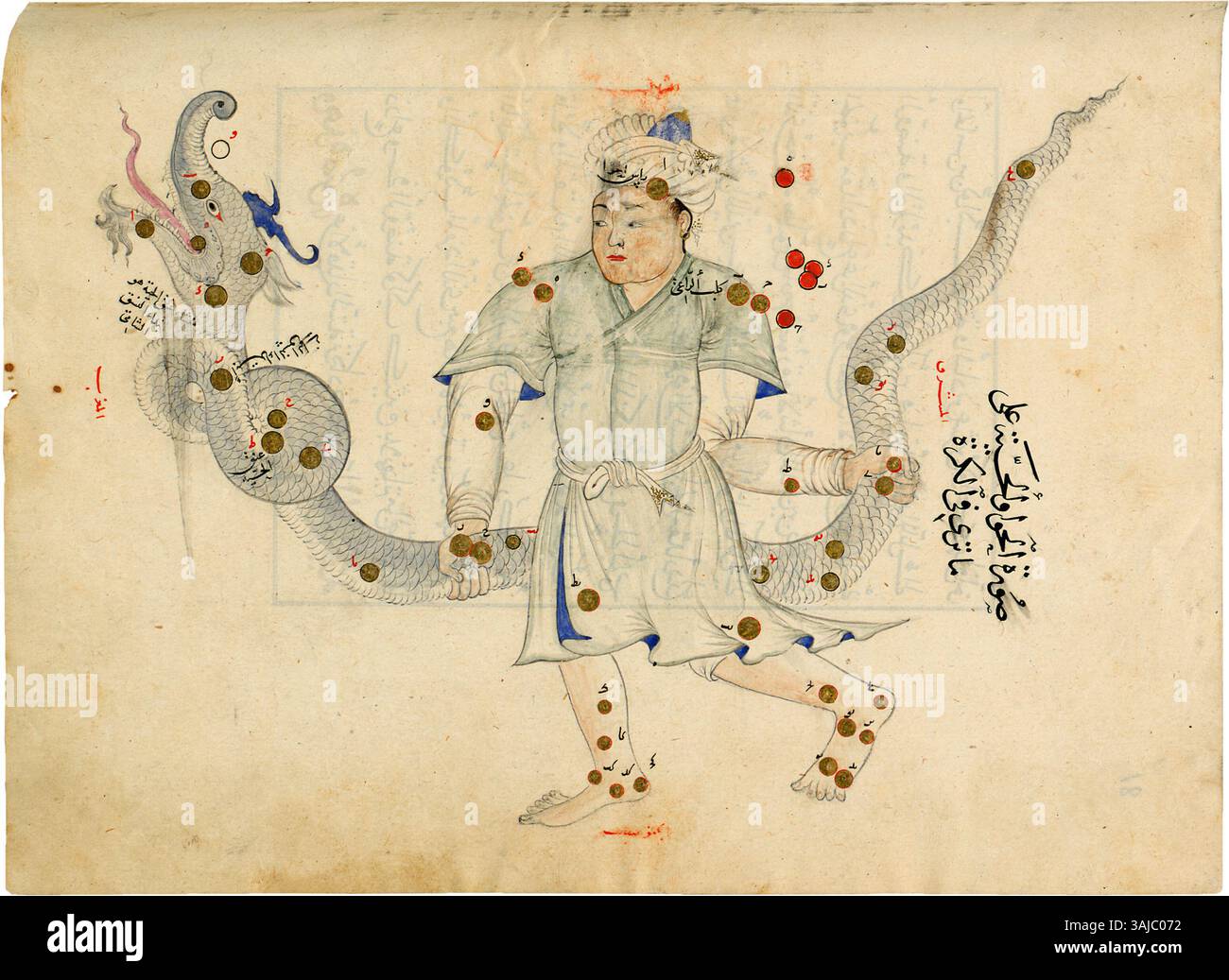 Questa miniatura, tratta dal manoscritto "Kitb uwar al-kawkib al-bita", rappresenta la costellazione di Ophiuchus. Creato tra il 1430 e il 1440 per il sultano Ulugh Beg, questo manoscritto miniato è ospitato presso la Bibliothèque Nationale de France. Foto Stock