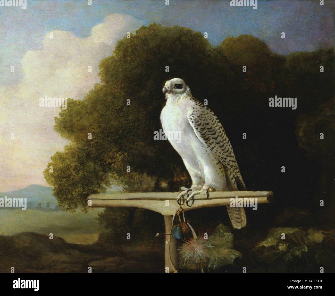 La pittura a olio su tavola del 1780 di George Stubbs "Falco Groenlandia" è un ritratto finemente dettagliato dell'uccello, a dimostrazione dell'esperienza di Stubbs nella ritrattistica di animali. Il dipinto fa parte della collezione Yale Center for British Art. Foto Stock La pittura a olio su tavola del 1780 di George Stubbs "Falco Groenlandia" è un ritratto finemente dettagliato dell'uccello, a dimostrazione dell'esperienza di Stubbs nella ritrattistica di animali. Il dipinto fa parte della collezione Yale Center for British Art. Foto Stock