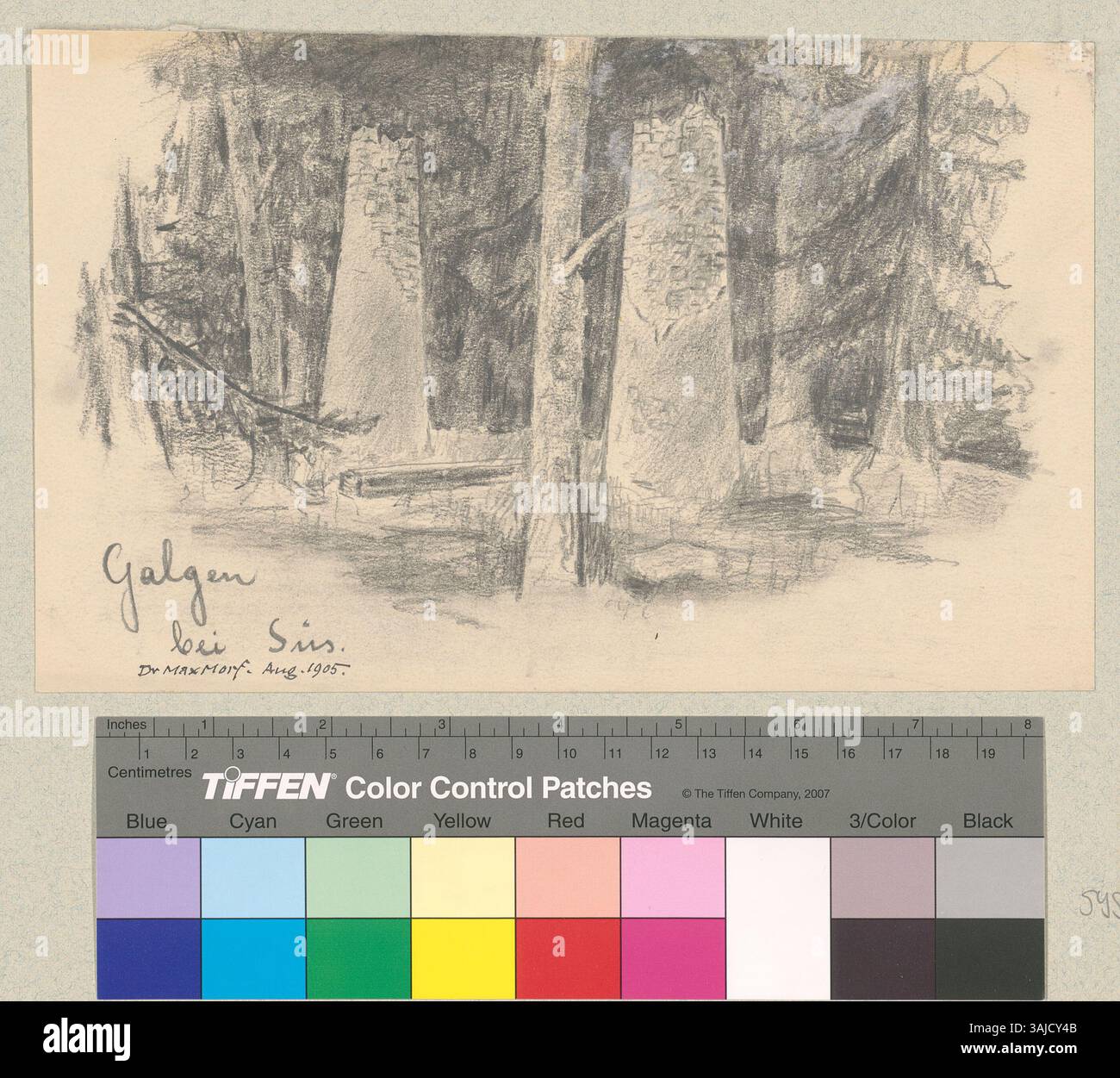 La rappresentazione del sito di esecuzione Güstizia (Fuorcha) tra le città di Susch e Zernez, situato sul lato destro del fiume Inn in Svizzera. Foto Stock