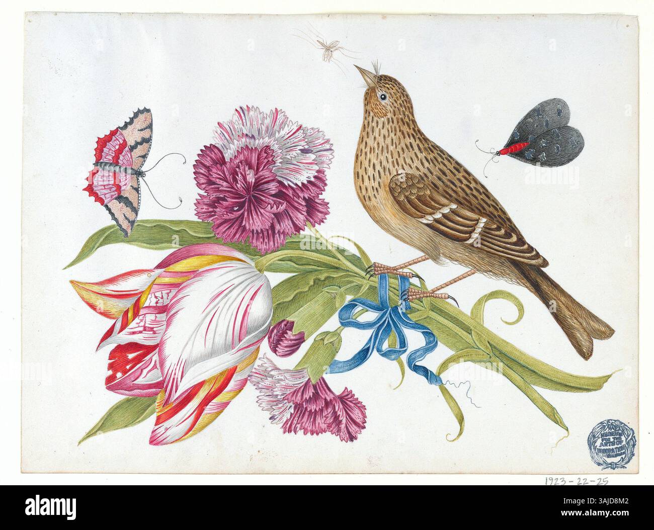Questo disegno del XVIII secolo raffigura un uccello arroccato su un tulipano, con due garofani legati da un nastro, e farfalle e un insetto in volo sopra. L'opera, eseguita a penna e inchiostro con tracce di grafite, è ospitata al Cooper Hewitt, Smithsonian Design Museum. Foto Stock Questo disegno del XVIII secolo raffigura un uccello arroccato su un tulipano, con due garofani legati da un nastro, e farfalle e un insetto in volo sopra. L'opera, eseguita a penna e inchiostro con tracce di grafite, è ospitata al Cooper Hewitt, Smithsonian Design Museum. Foto Stock