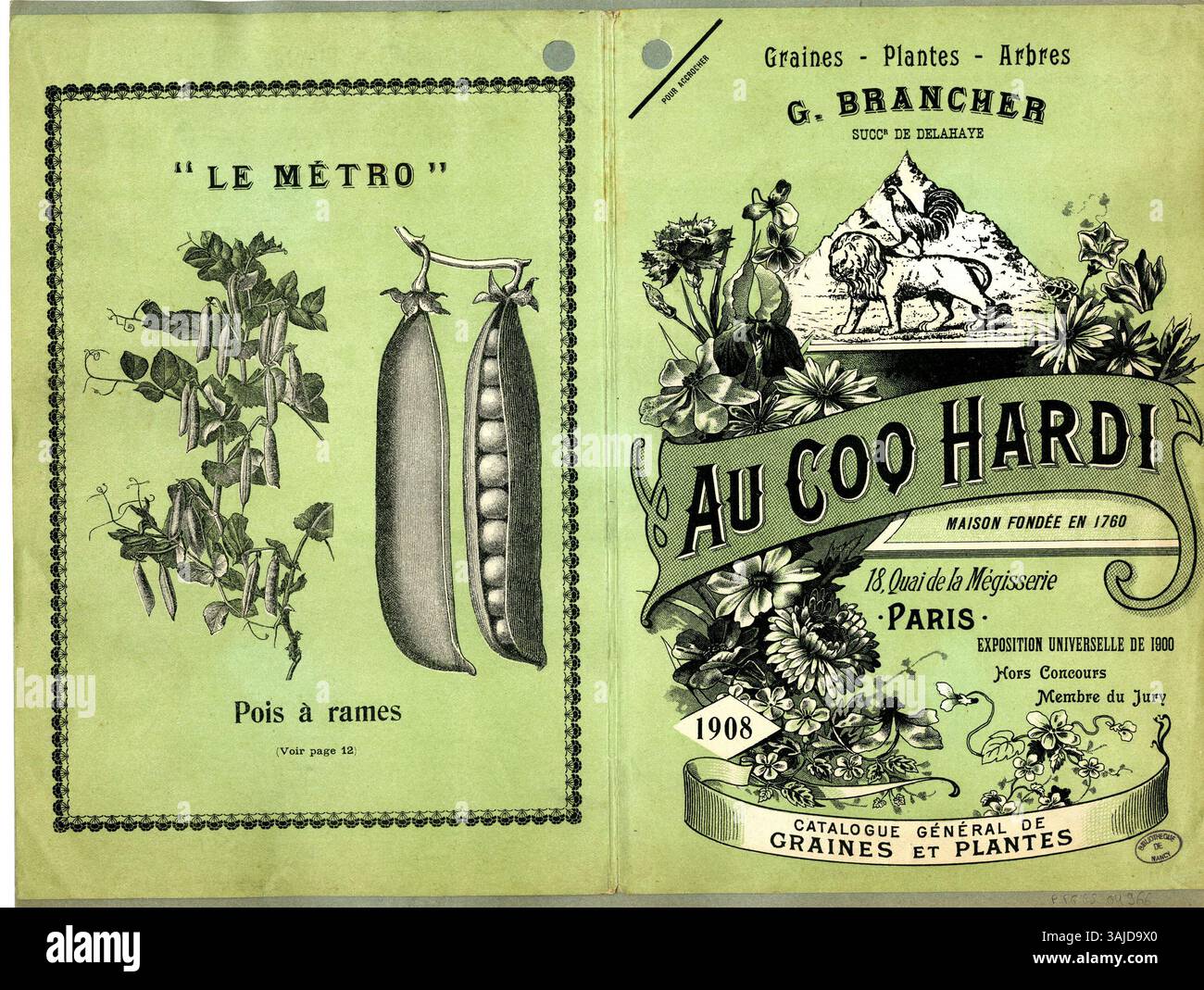 Una stampa del 1908 intitolata "Catalogue général de graines et plantes" (Catalogo generale delle sementi e delle piante), parte della collezione Bibliothèque municipale de Nancy. La data esatta di creazione è incerta. Foto Stock