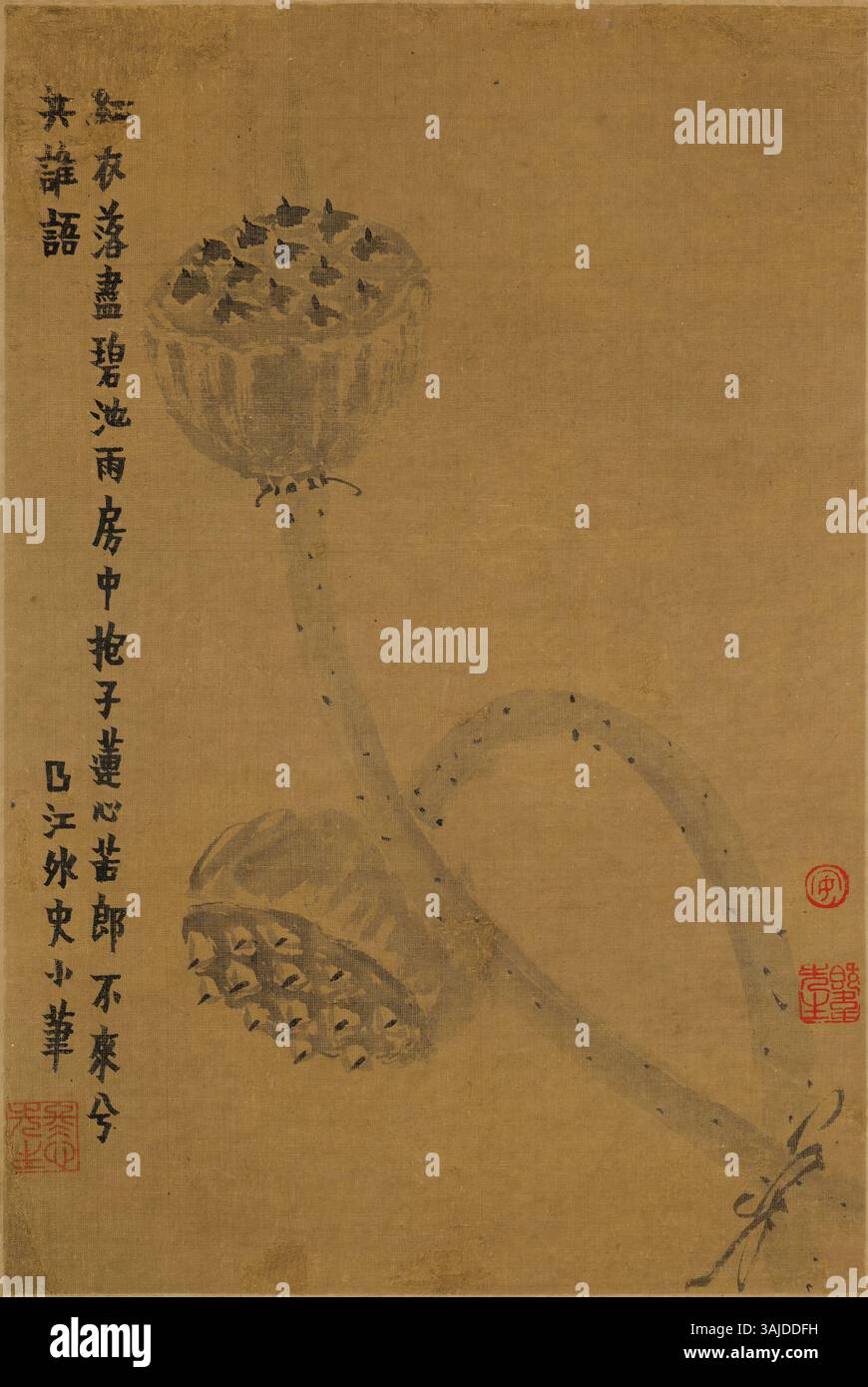 Al Museo Tianjin è esposta una collezione diversificata di manufatti della dinastia Qing, che mette in evidenza i significativi contributi del periodo all'arte e alla governance cinese. Foto Stock