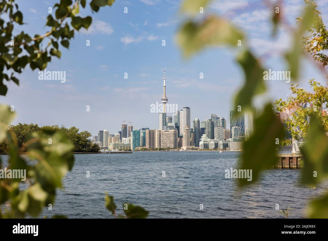Vista dello skyline della città di Toronto con la CN Tower dal fronte del porto Foto Stock