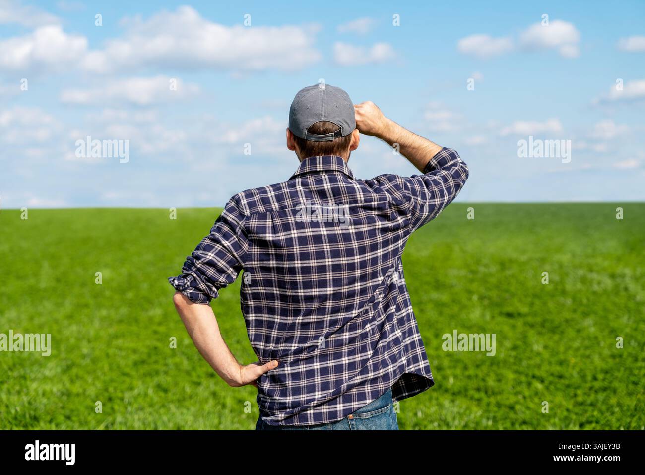 Vista posteriore di un agricoltore maschio in un campo di grano invernale all'inizio della primavera guardando l'orizzonte Foto Stock