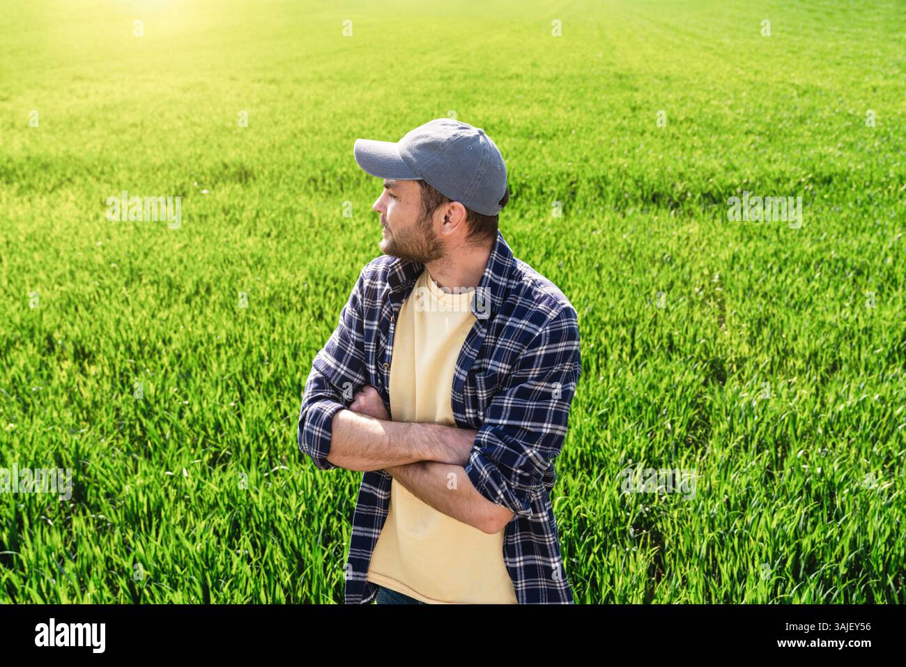 Agricoltore maschio con le braccia incrociate in un campo di grano invernale all'inizio della primavera Foto Stock