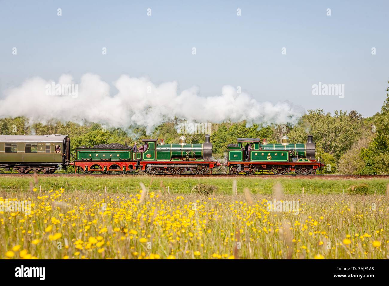 SECR "H" classe 0-4-4T N. 263 e SECR "01" classe 0-6-0 No. 65 avvicinano Horsted Keynes sulla Bluebell Railway, East Sussex, Inghilterra, Regno Unito Foto Stock