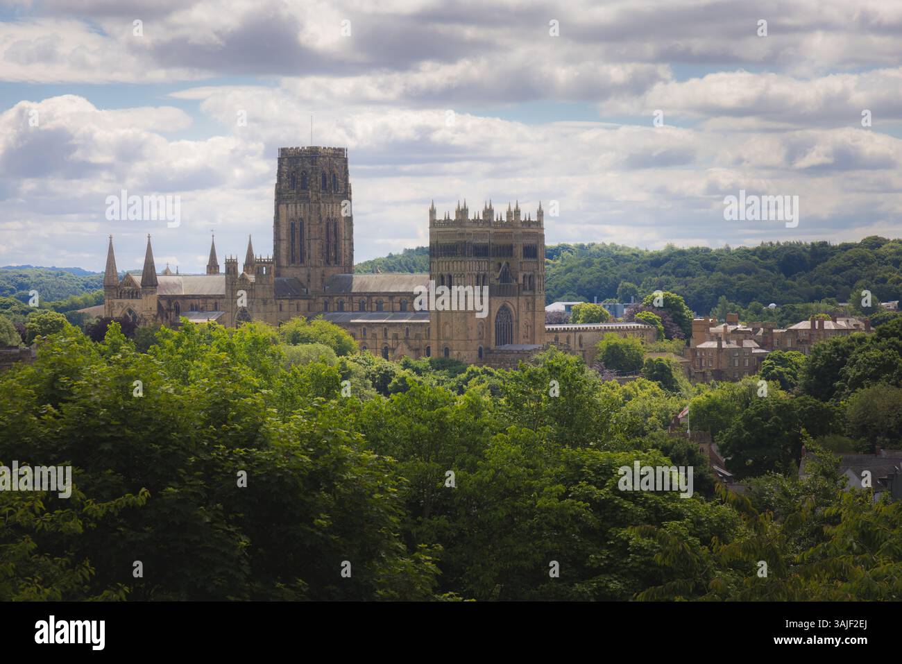 Durham Cathedral incorniciata da lussureggianti alberi verdi sotto un luminoso cielo estivo come si vede da Wharton Park. Foto Stock