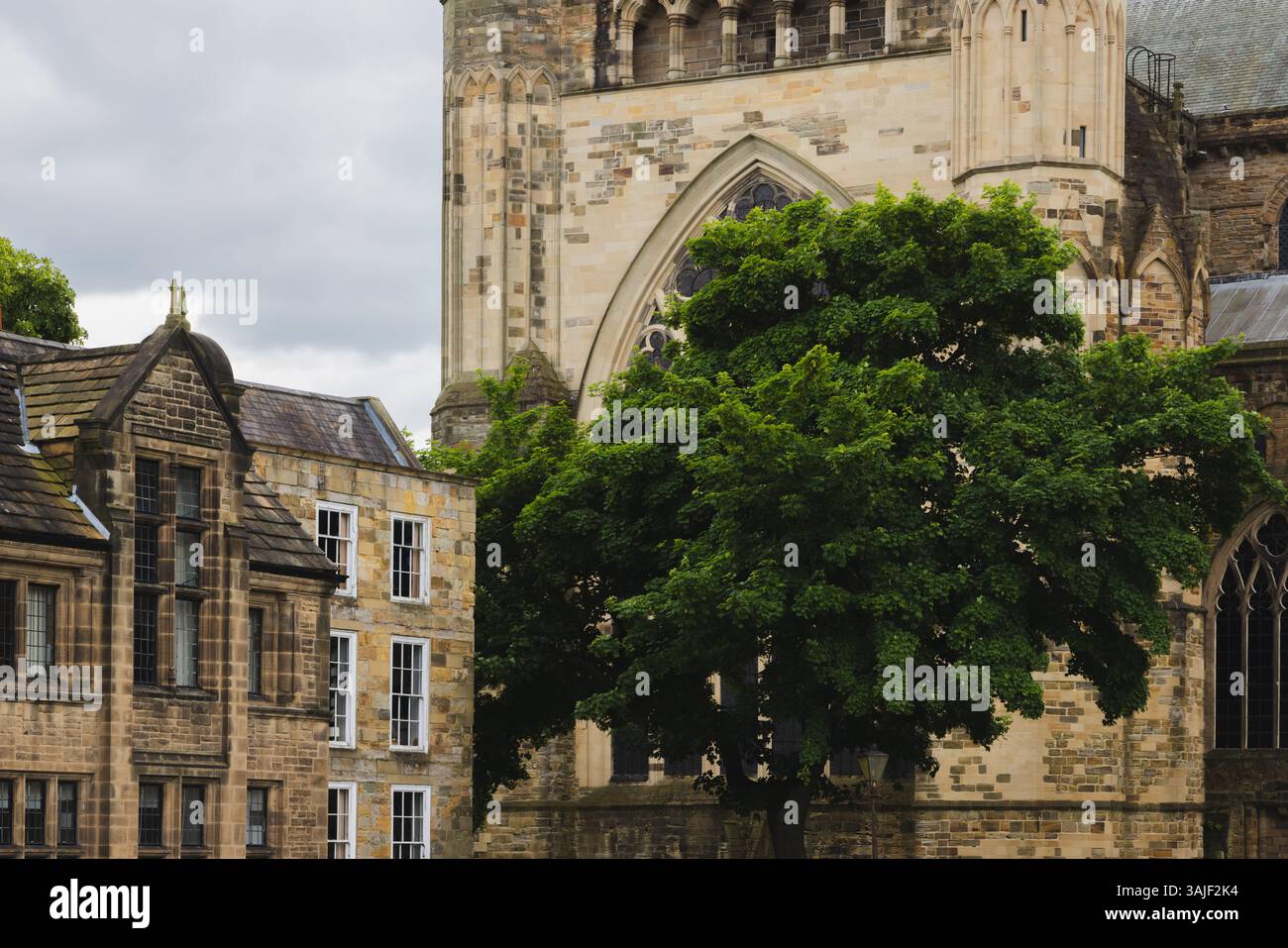 L'intricata lavorazione in pietra e la vegetazione lussureggiante circondano la storica Cattedrale di Durham nella contea di Durham, una rinomata attrazione turistica nel Regno Unito. Foto Stock