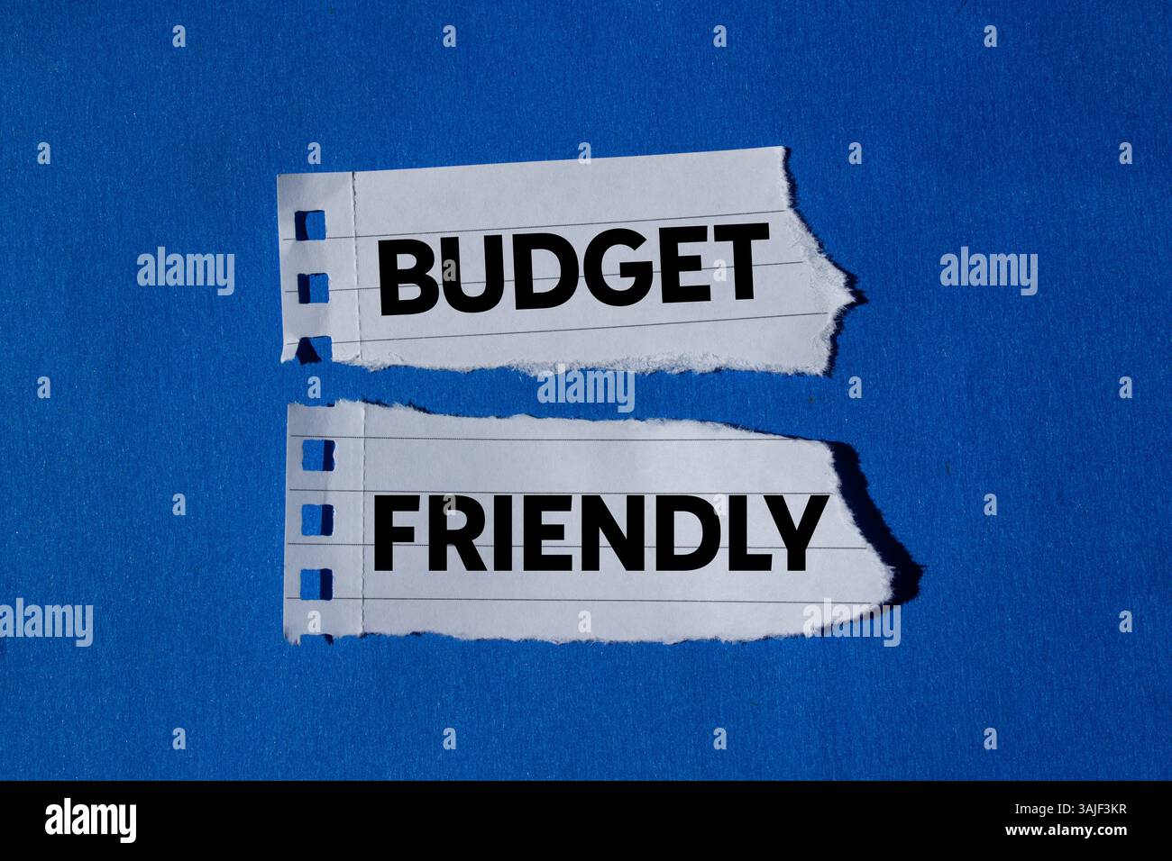 Messaggio economico scritto su frammenti di carta bianca strappati su sfondo blu. Simbolo di budget concettuale. Copia spazio. Foto Stock