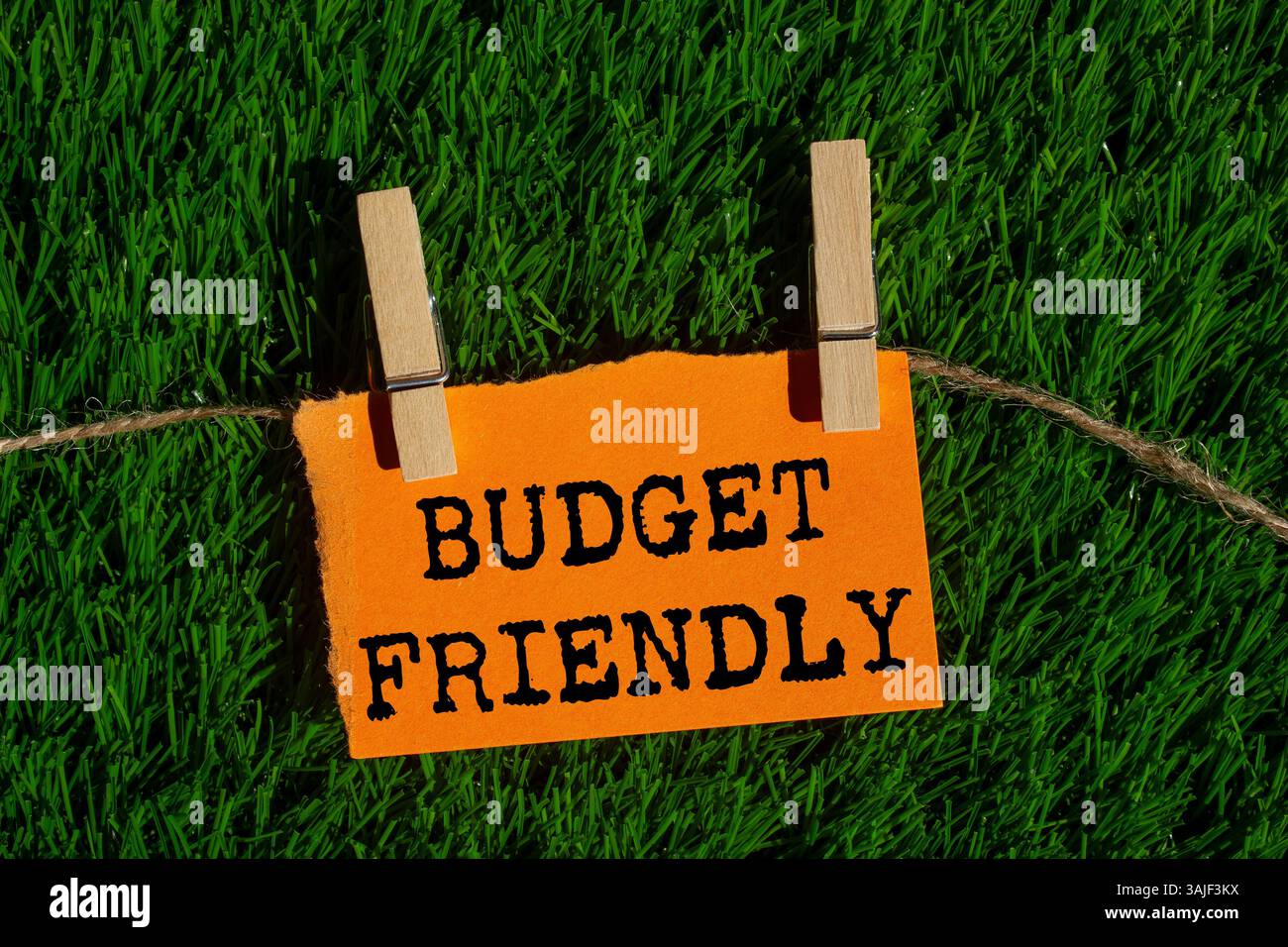 Messaggio economico scritto su un pezzo di carta arancione strappato su sfondo verde. Simbolo di budget concettuale. Copia spazio. Foto Stock