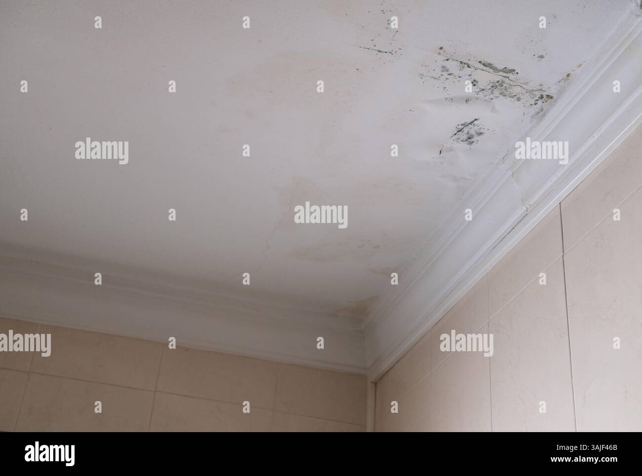 Grave problema di muffa e muffa sul soffitto. Manutenzione rimozione stampo. Tetto interessato dalla pioggia. Foto Stock