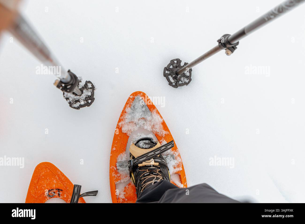 Questa vista dettagliata dall'alto verso il basso mostra le racchette da neve e i bastoncini da trekking saldamente piantati nella neve fresca, pronti per un viaggio invernale Foto Stock
