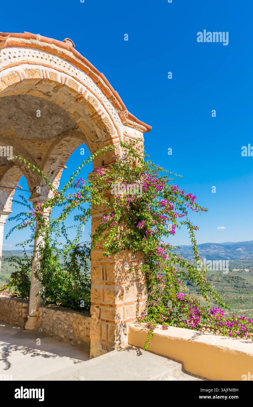Soleggiata vista panoramica del tetto della chiesa ad arco nel sito archeologico di Mystras con bouganville in fiore rosa e la valle di Sparta sottostante, Laconia, Grecia Foto Stock