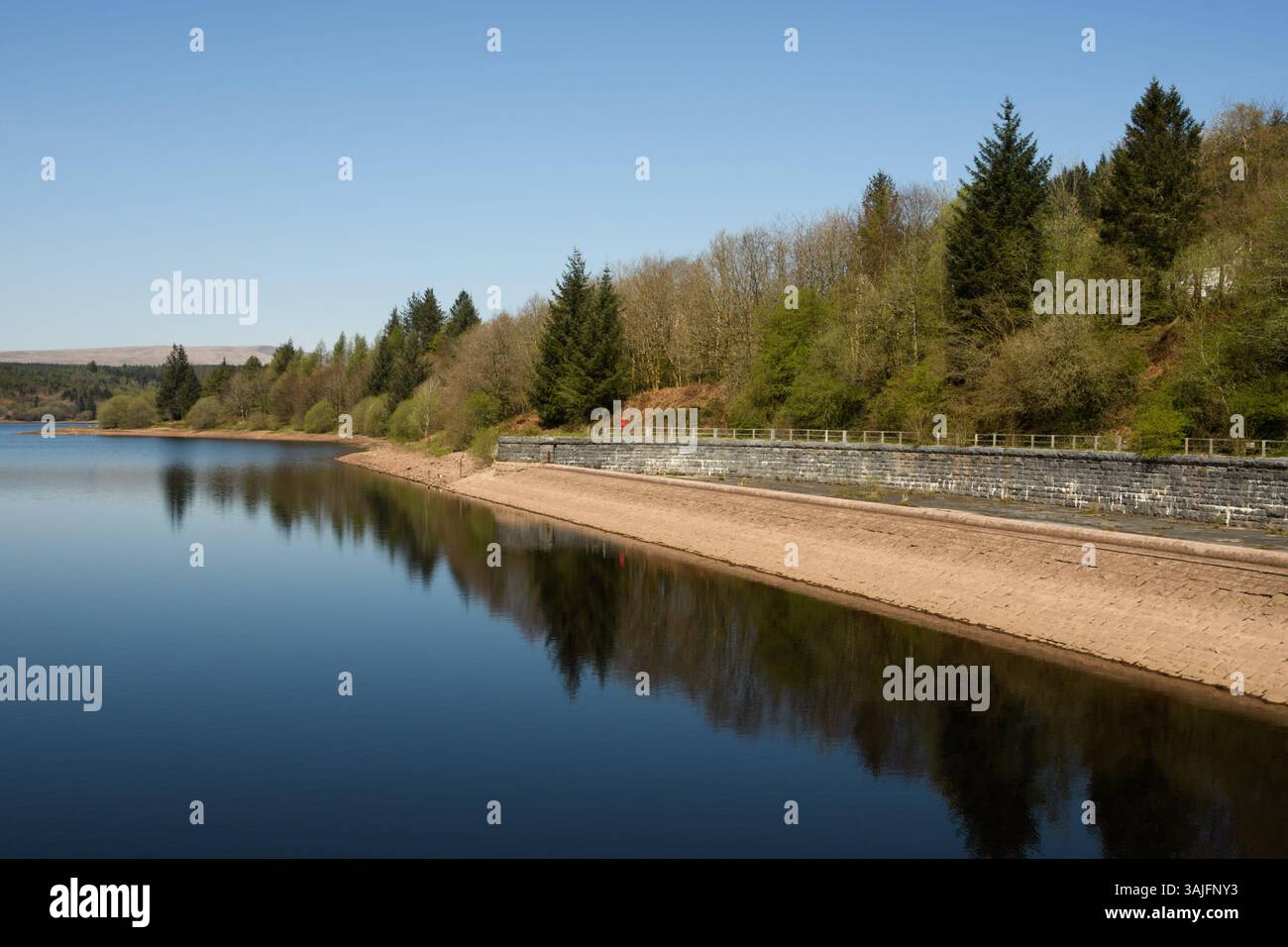 Llwyn Onn Reservation, Merthyr Tydfil, Galles del Sud, Regno Unito. 11 aprile 2025. Meteo nel Regno Unito: Pomeriggio caldo con livelli dell'acqua leggermente inferiori. Crediti: Andrew Bartlett/Alamy Live News Foto Stock