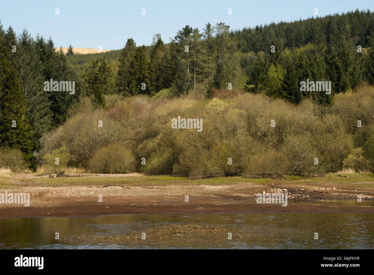 Llwyn Onn Reservation, Merthyr Tydfil, Galles del Sud, Regno Unito. 11 aprile 2025. Meteo nel Regno Unito: Pomeriggio caldo con livelli dell'acqua leggermente inferiori. Crediti: Andrew Bartlett/Alamy Live News Foto Stock