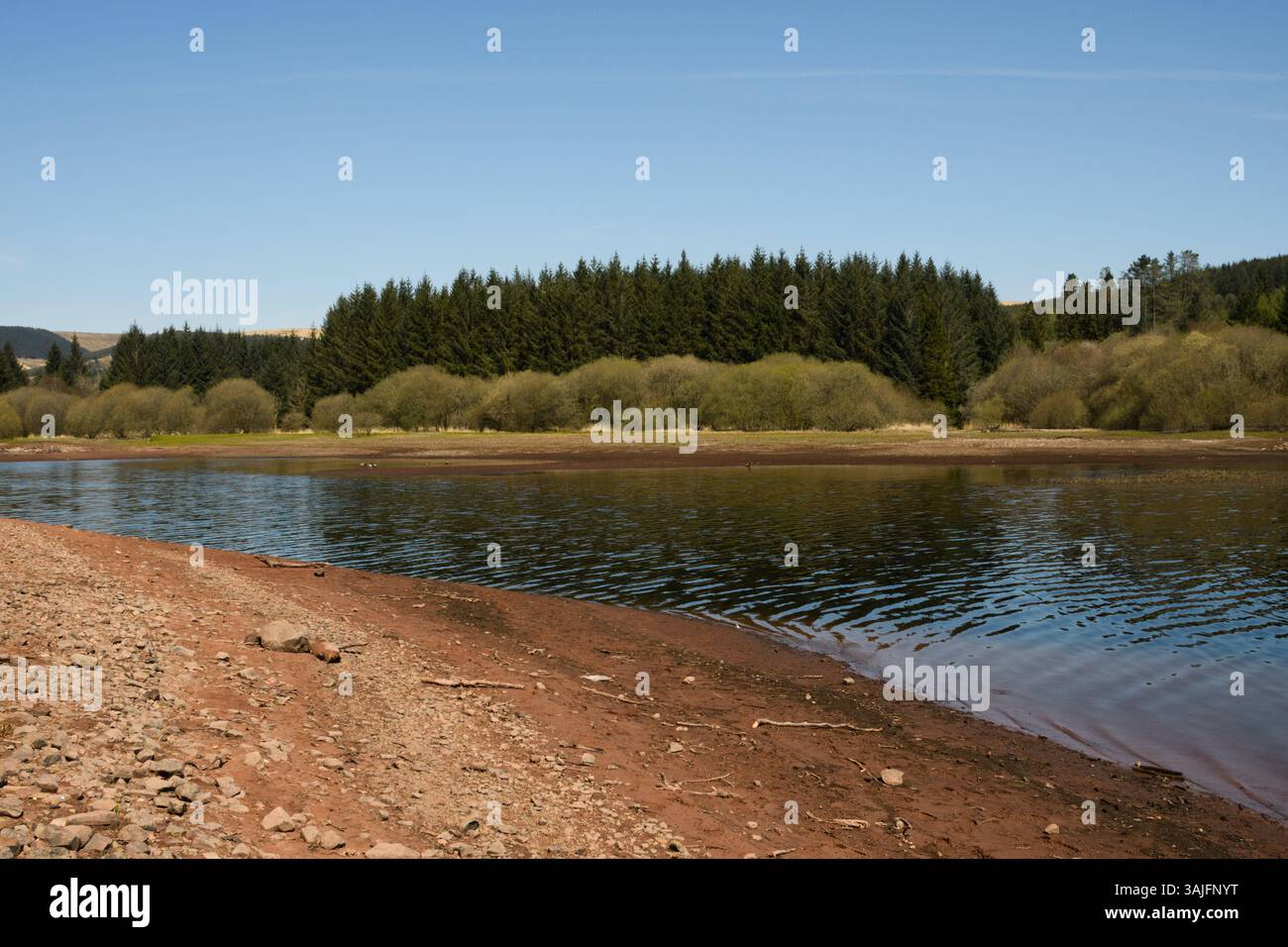 Llwyn Onn Reservation, Merthyr Tydfil, Galles del Sud, Regno Unito. 11 aprile 2025. Meteo nel Regno Unito: Pomeriggio caldo con livelli dell'acqua leggermente inferiori. Crediti: Andrew Bartlett/Alamy Live News Foto Stock