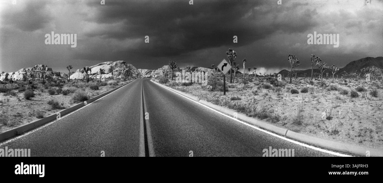 Vista panoramica della strada vuota che attraversa il Joshua Tree National Park, San Bernardino County, California, USA Foto Stock