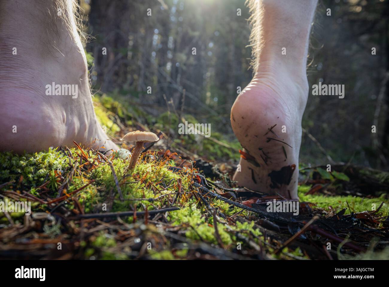 Piedi umani di un maschio adulto che cammina a piedi nudi in una foresta come forma di messa a terra e connessione con la terra. Foto Stock