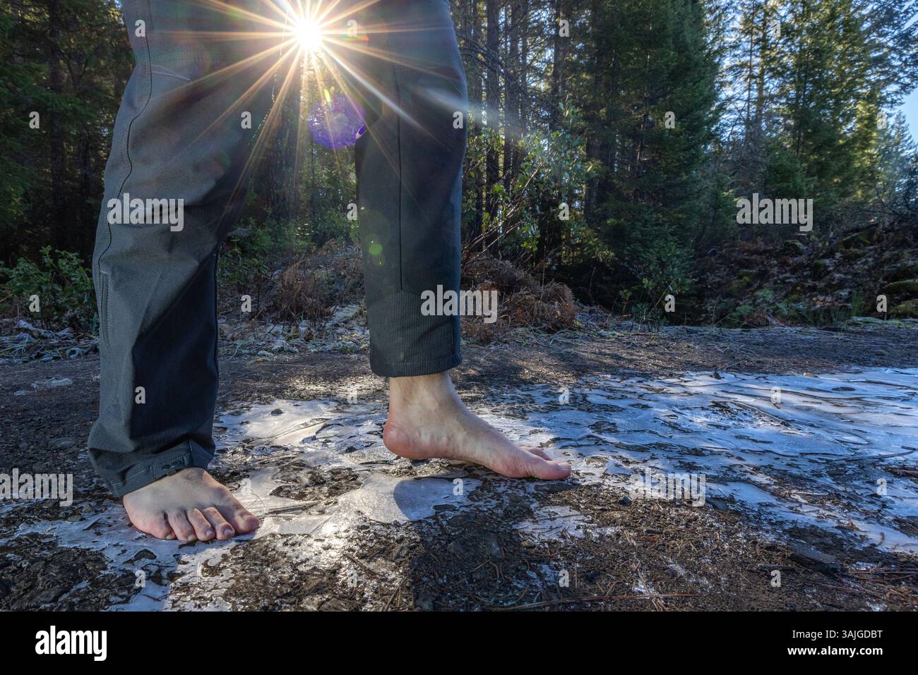 Piedi umani di un maschio adulto che cammina a piedi nudi su una pozzanghera congelata come forma di messa a terra e connessione con la terra. Foto Stock