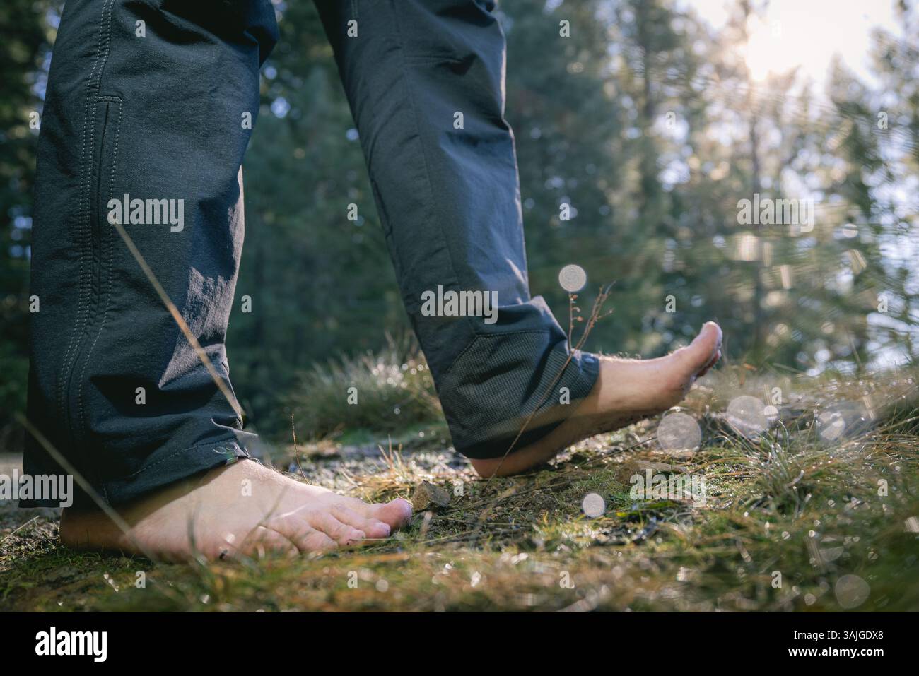 Piedi umani di un maschio adulto che cammina a piedi nudi in una foresta come forma di messa a terra e connessione con la terra. Foto Stock