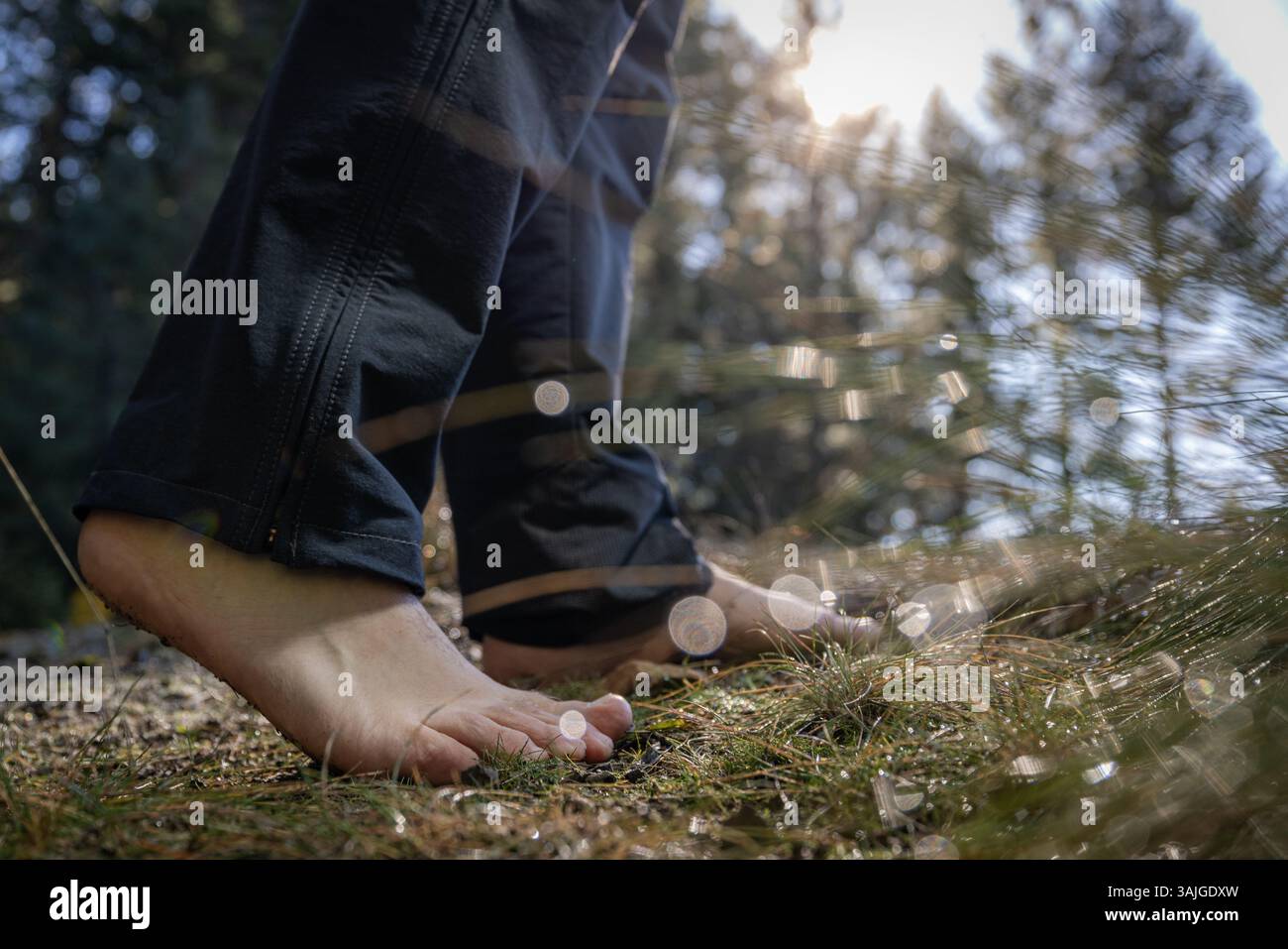 Piedi umani di un maschio adulto che cammina a piedi nudi in una foresta come forma di messa a terra e connessione con la terra. Foto Stock