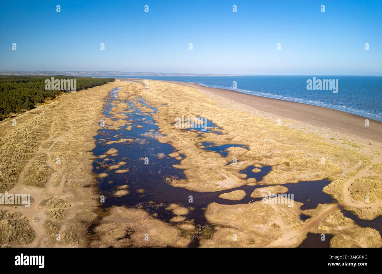 Vista aerea dal drone della riserva naturale nazionale di Tentsmuir nel nord-est di Fife, Scozia, Regno Unito Foto Stock