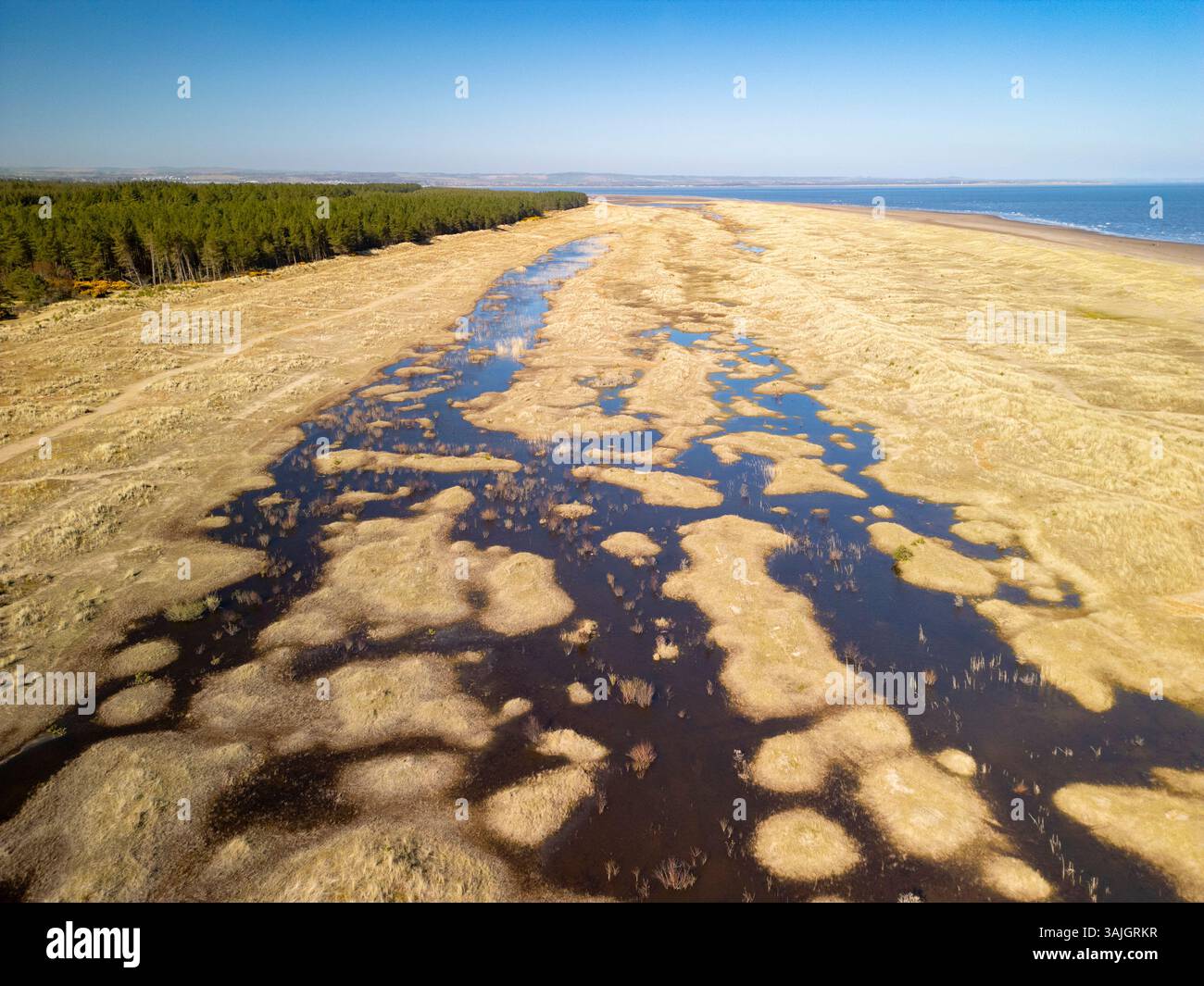 Vista aerea dal drone della riserva naturale nazionale di Tentsmuir nel nord-est di Fife, Scozia, Regno Unito Foto Stock