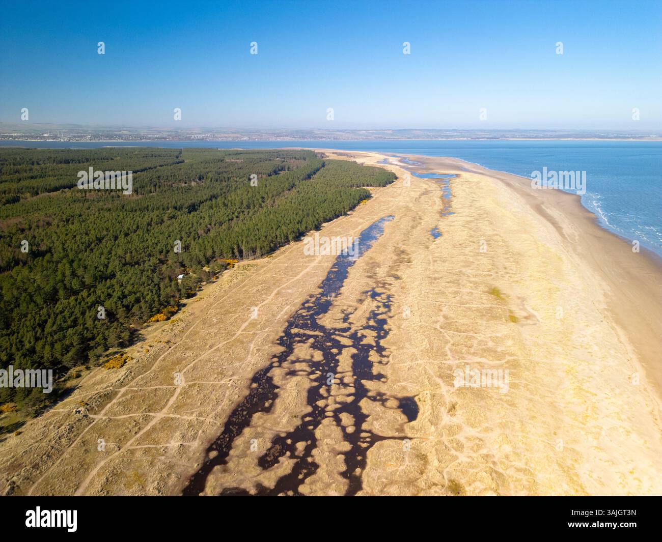Vista aerea dal drone della riserva naturale nazionale di Tentsmuir nel nord-est di Fife, Scozia, Regno Unito Foto Stock