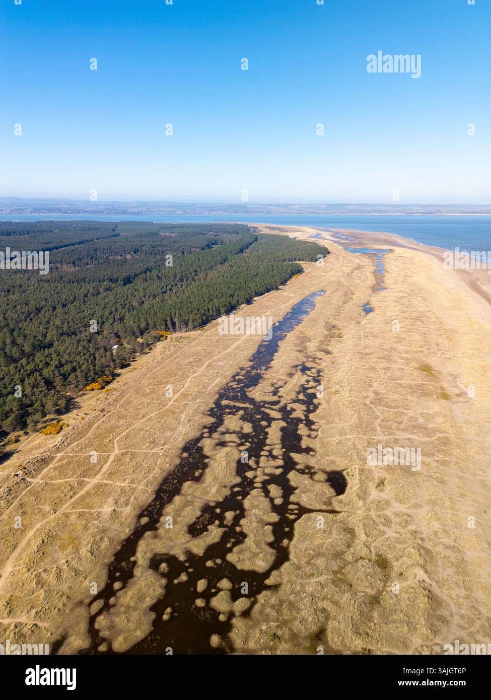 Vista aerea dal drone della riserva naturale nazionale di Tentsmuir nel nord-est di Fife, Scozia, Regno Unito Foto Stock