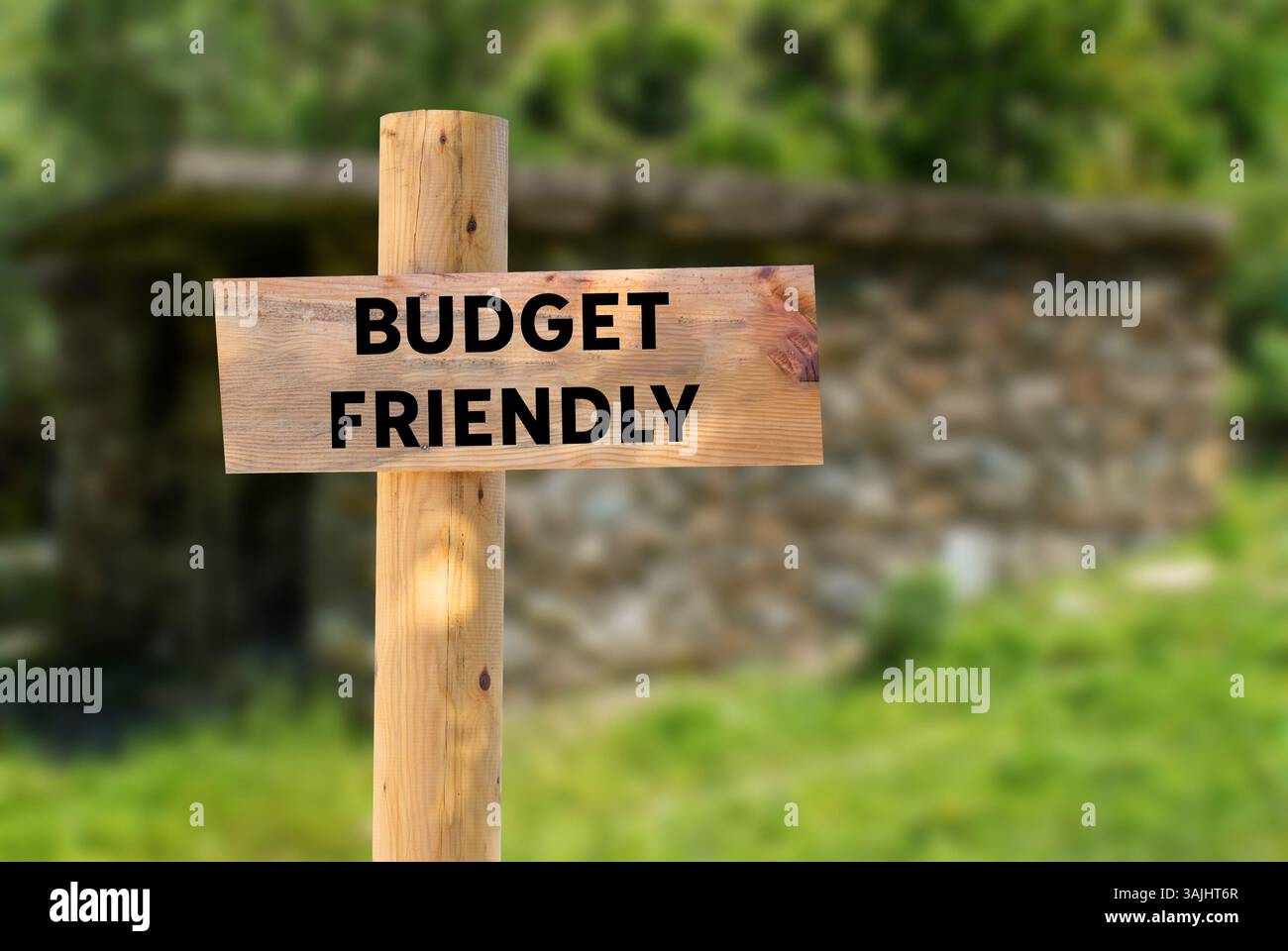 Messaggio economico scritto su un cartello di legno sullo sfondo della natura. Simbolo di budget concettuale. Copia spazio. Foto Stock