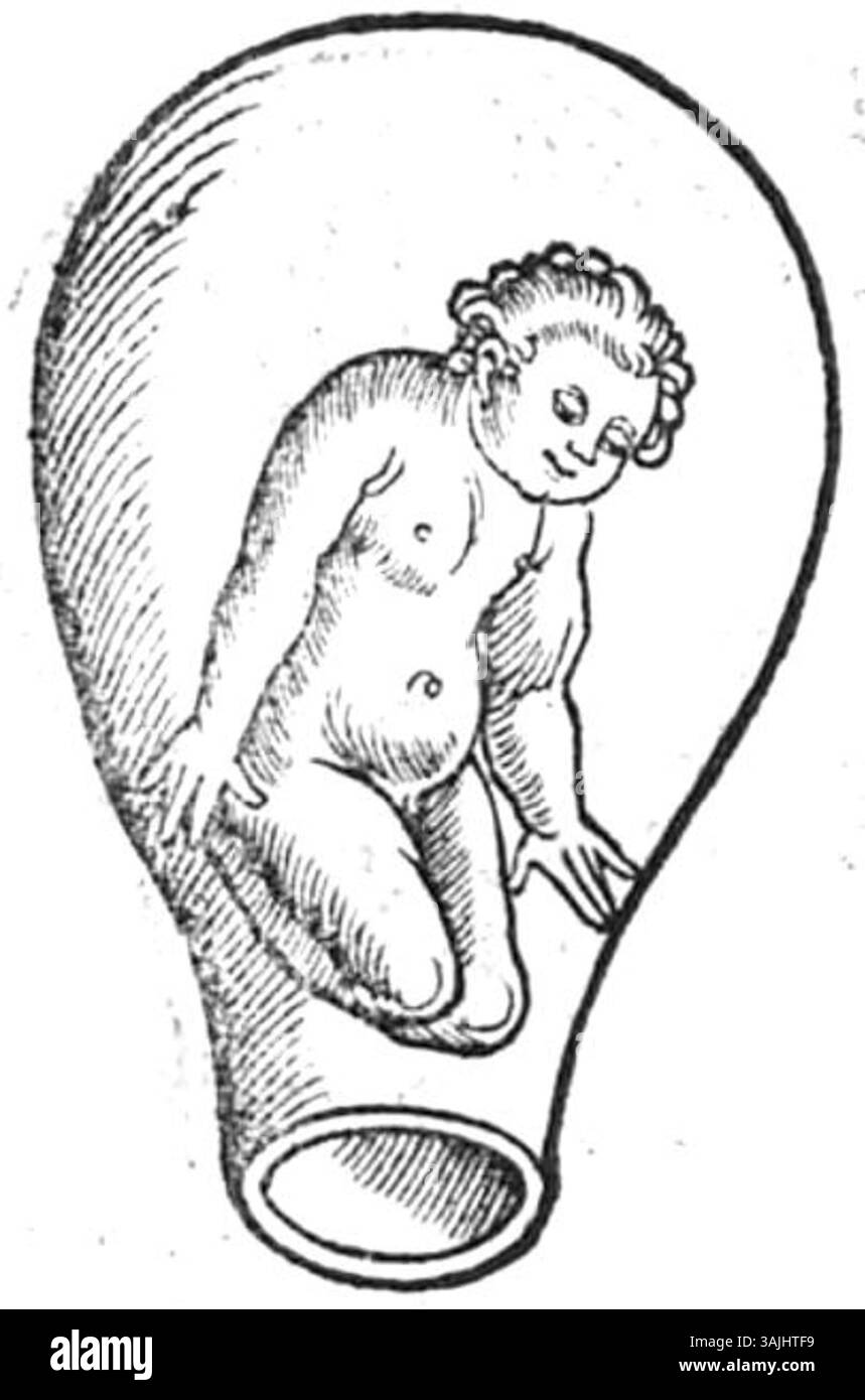 Pagina 33 dal libro "Der Swangern frawen vnd hebammen roszgarten" di Eucharius Rößlin, pubblicato nel 1513. Questa pagina fornisce ulteriori trattamenti medici e rimedi a base di erbe per la gravidanza e il parto. Foto Stock