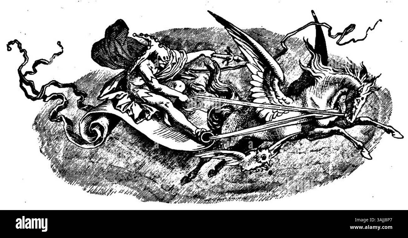 Un'altra illustrazione tratta da "Fliegende Blätter" (1846, volume 2), con un'immagine satirica che commenta le questioni politiche e sociali dell'epoca. Questa rivista è stata una significativa fonte di umorismo e critica nella Germania del XIX secolo. Foto Stock