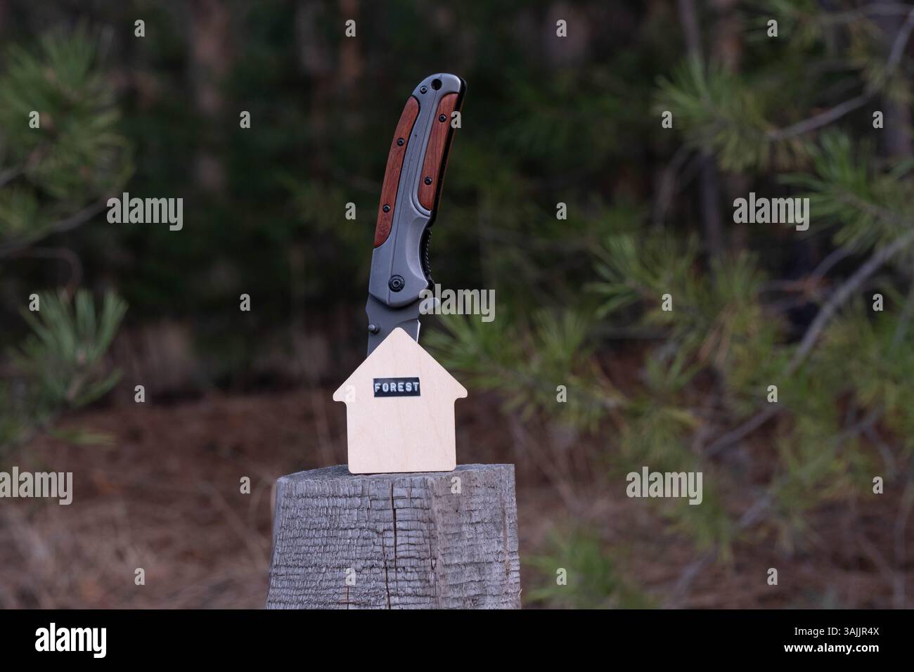 Coltello e modello di casa su ceppo di legno nella foresta Foto Stock