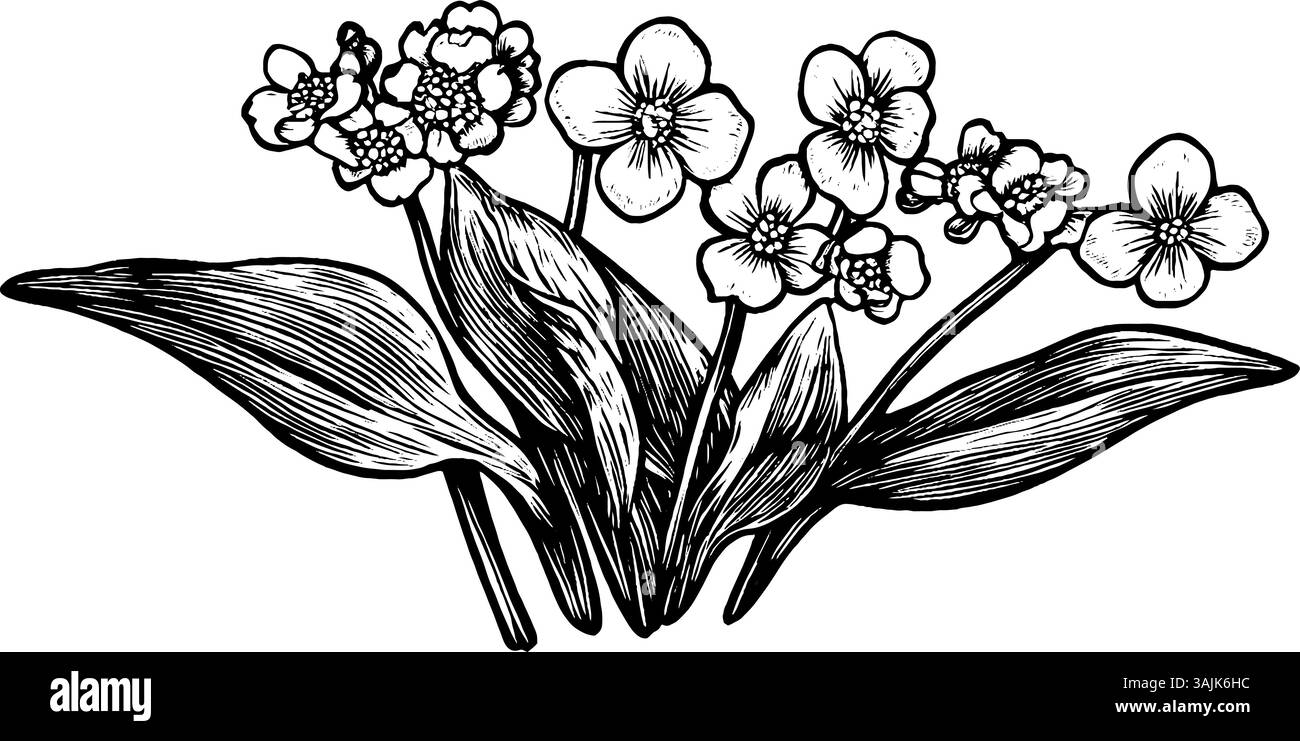 Una dettagliata illustrazione in bianco e nero di un mazzo di fiori con foglie larghe, che mostra vari tipi di fiori, tra cui fiori piccoli e grandi. Illustrazione Vettoriale