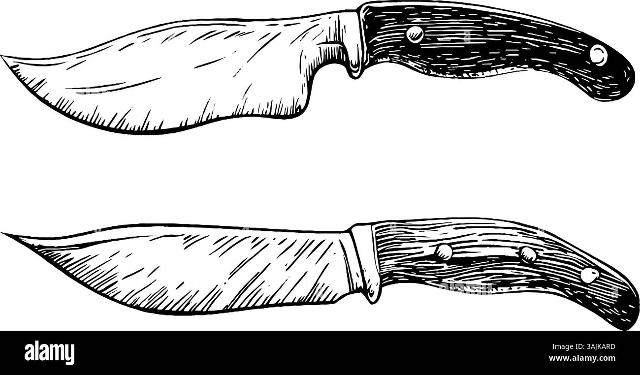 Illustrazione di due diversi stili di coltelli da cucina con manici in legno e lame curve, che ne mostrano il design e la maestria artigianale. Illustrazione Vettoriale