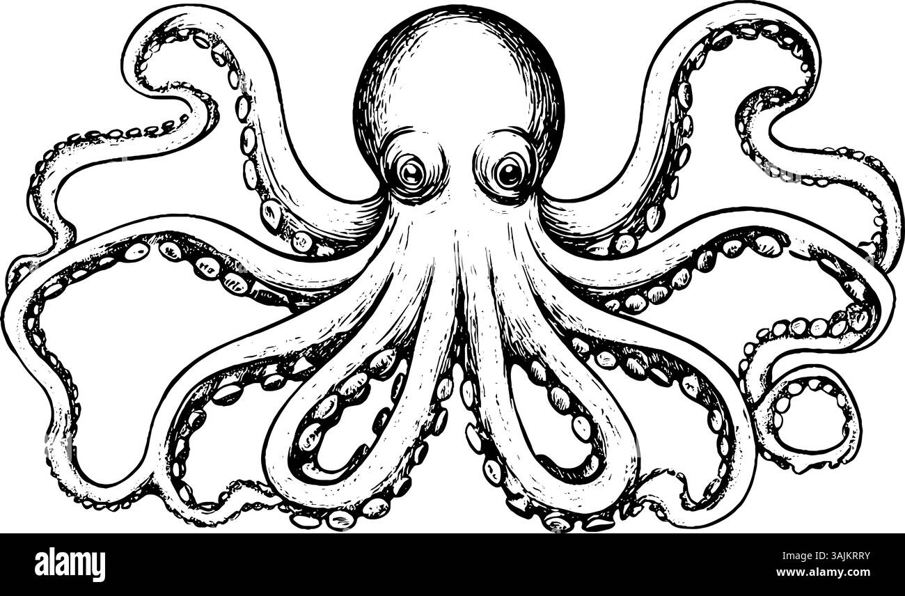 Un'illustrazione dettagliata in bianco e nero di un polpo con otto braccia, grandi occhi e una testa arrotondata. I tentacoli sono sparsi, mostrando la consistenza e le ventose. Illustrazione Vettoriale