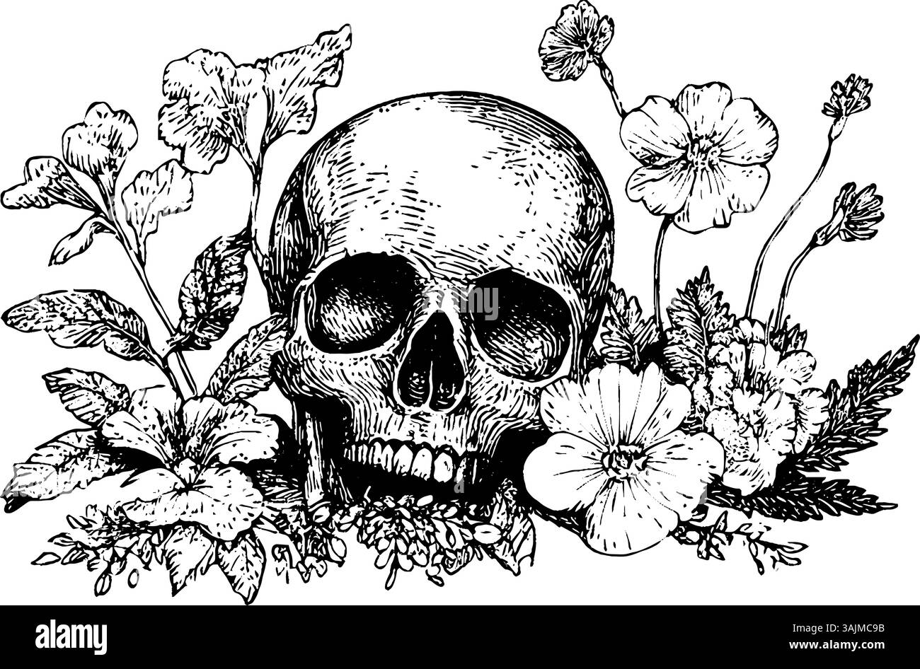 Un'illustrazione dettagliata di un cranio umano circondato da vari fiori e fogliame, che mostra un contrasto tra la vita e la morte. Illustrazione Vettoriale