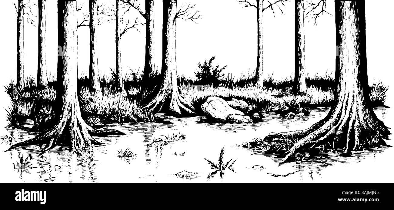 Un'illustrazione dettagliata in bianco e nero di una foresta paludosa, con alberi alti con radici esposte, un piccolo corpo d'acqua e macchie di erba e arbusti. Illustrazione Vettoriale