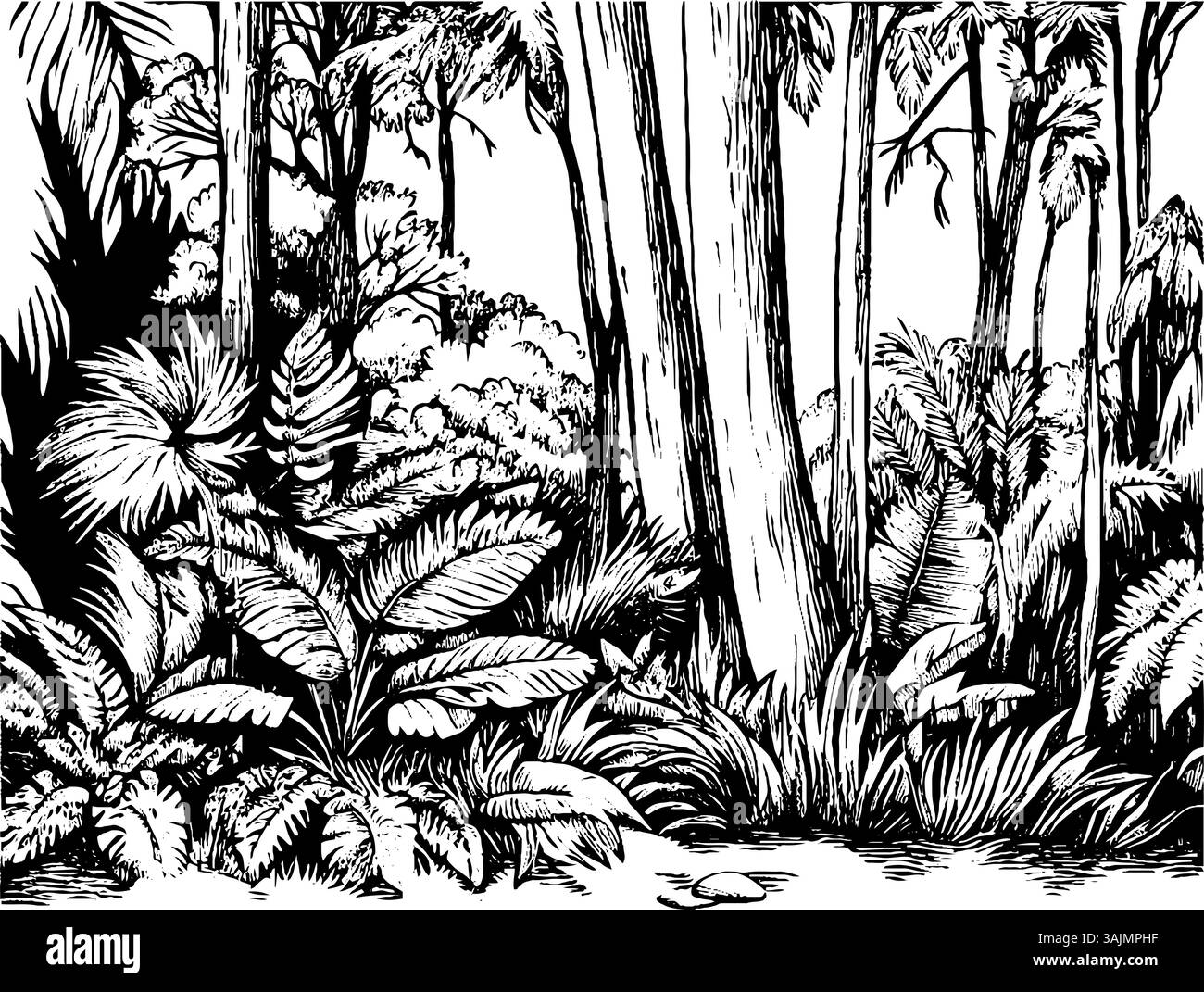 Una dettagliata illustrazione in bianco e nero di una fitta scena della giungla, caratterizzata da varie piante tropicali, alberi alti e sottobosco, creando un'atmosfera lussureggiante e vibrante. Illustrazione Vettoriale