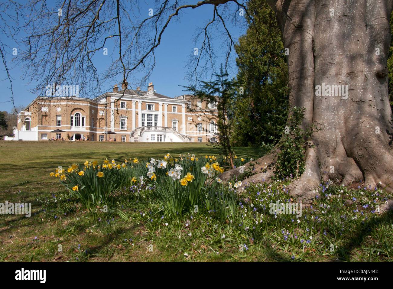I terreni del Waverley Abbey College and Cafe, Farnham, Surrey, Inghilterra Foto Stock