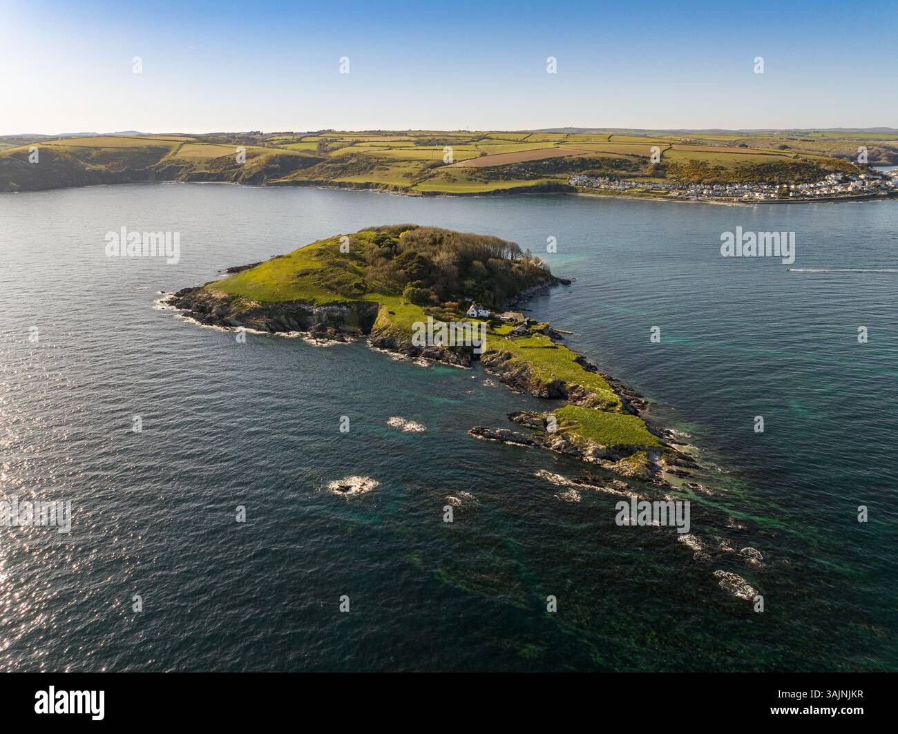 Riserva naturale di Looe Island, conosciuta anche come St George's Island, vista aerea, appena fuori dalla città continentale di Looe al largo della Cornovaglia, Inghilterra. Foto Stock